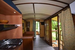 terrebio bungalow